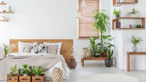 amenajare casa cu buget redus